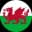 Wales logo